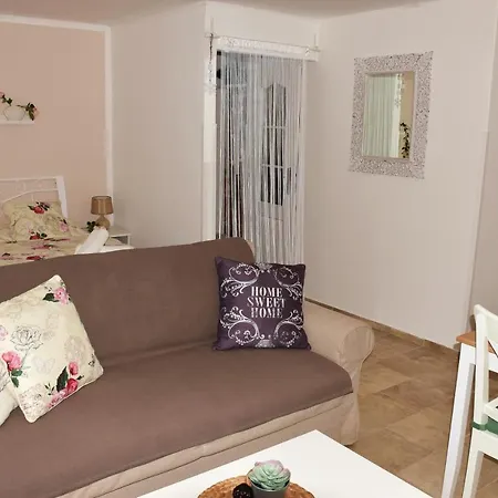 Apartment Borovi *