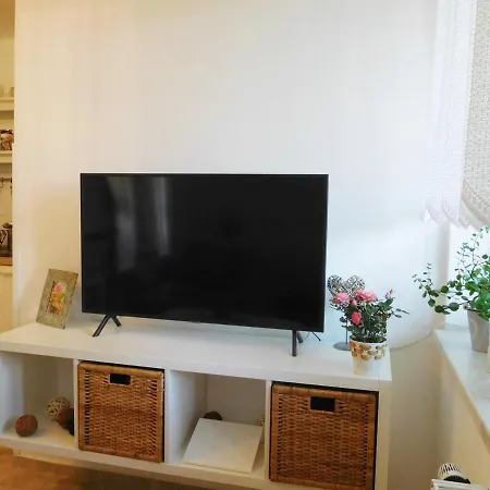 Apartment Borovi *