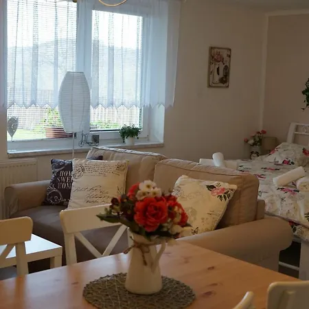 Borovi Apartment