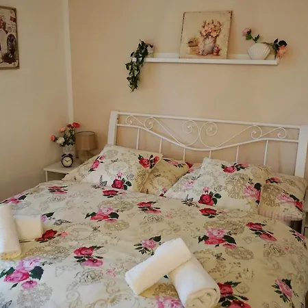 Apartment Borovi