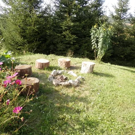 Borovi Apartament