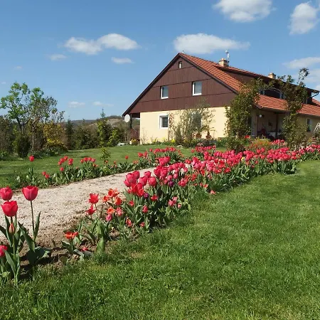 Borovi Karlštejn