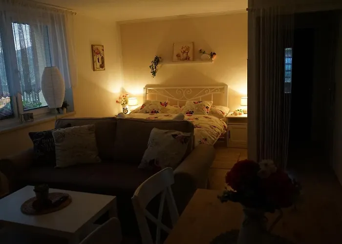 Borovi Lejlighed *